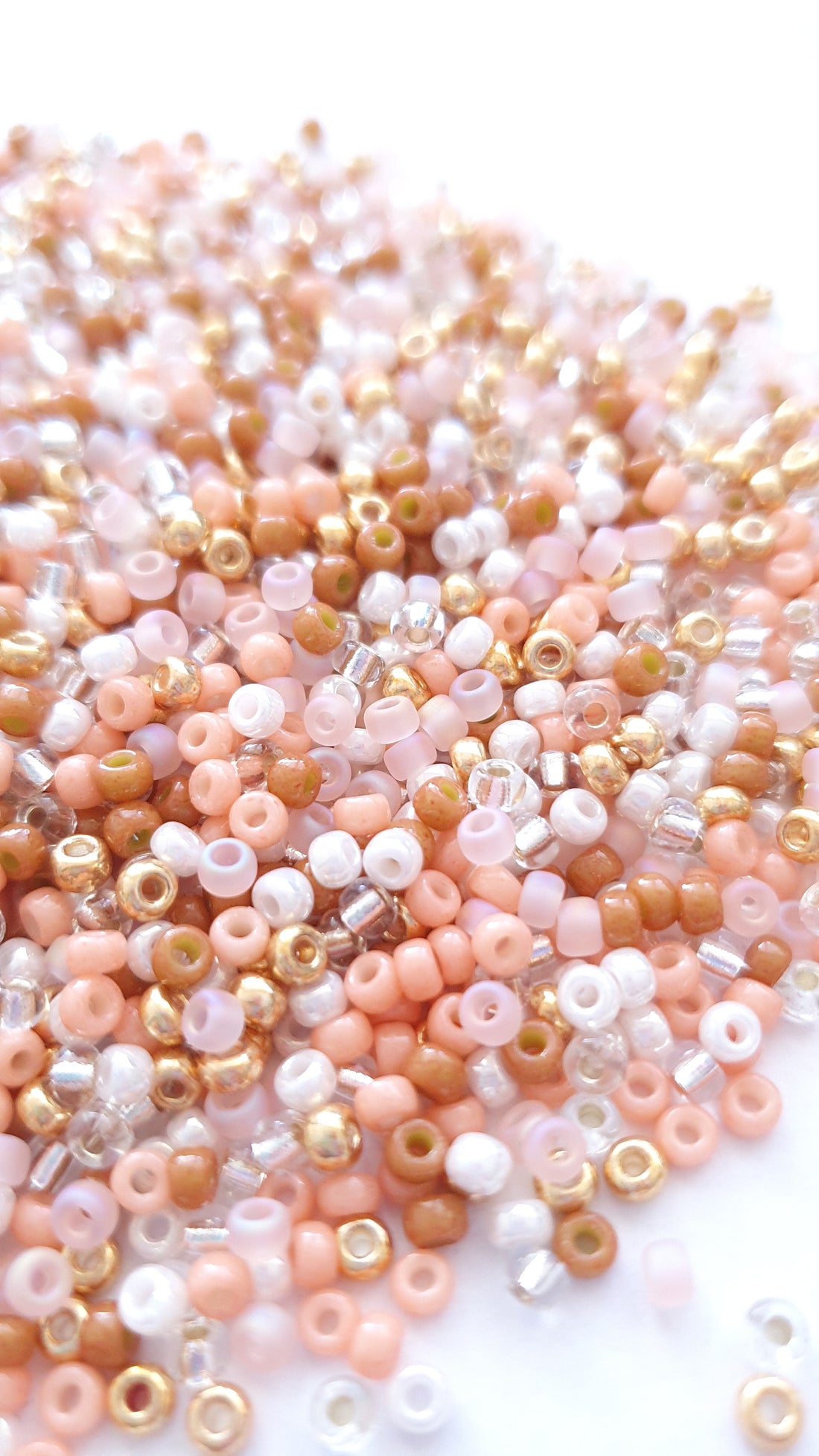 Beads Lodge Miyuki 8/0 Seed Beads mix &