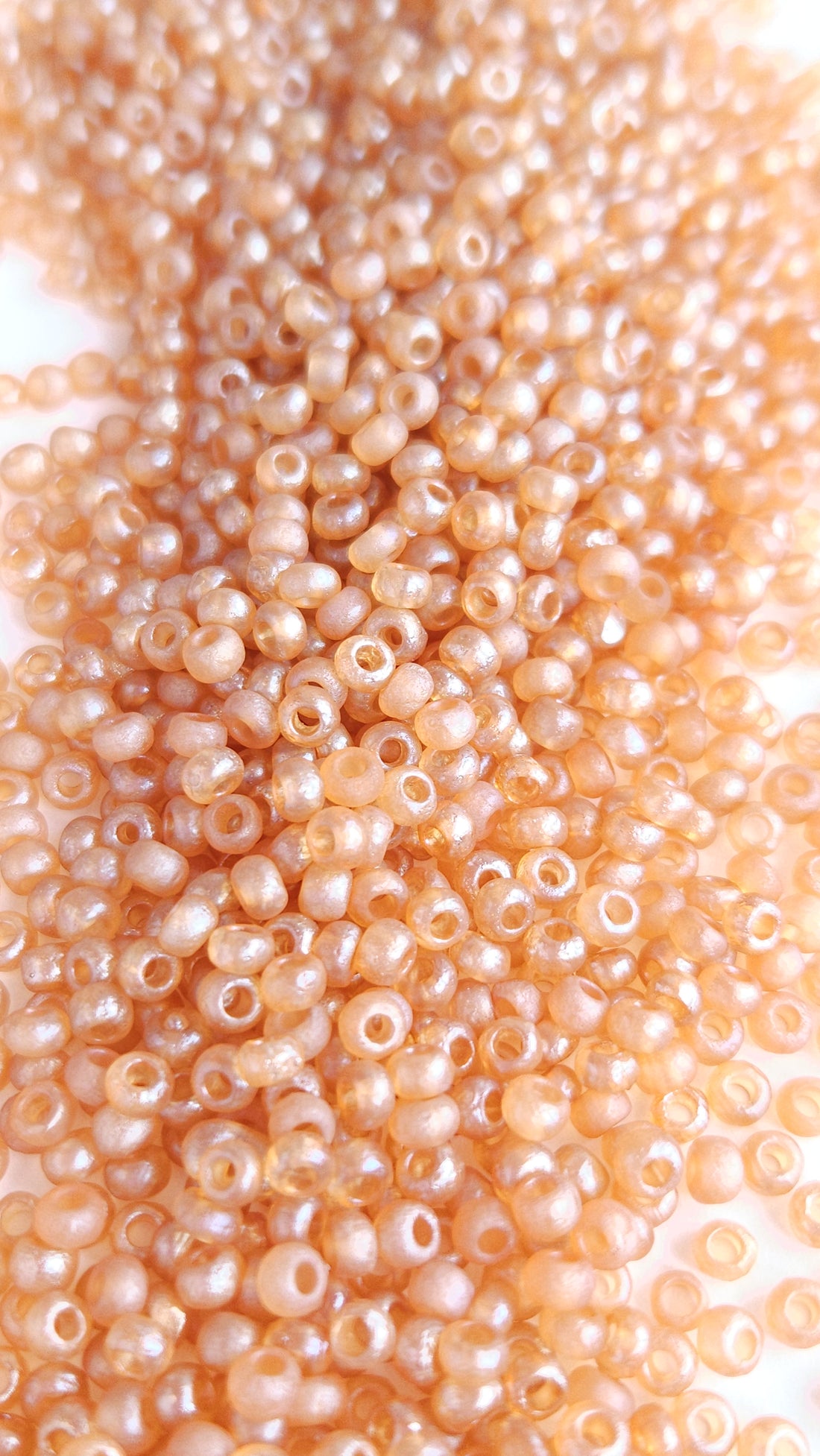 Czech Rocailles 6/0 Etched Crystal Celsian Full 22580