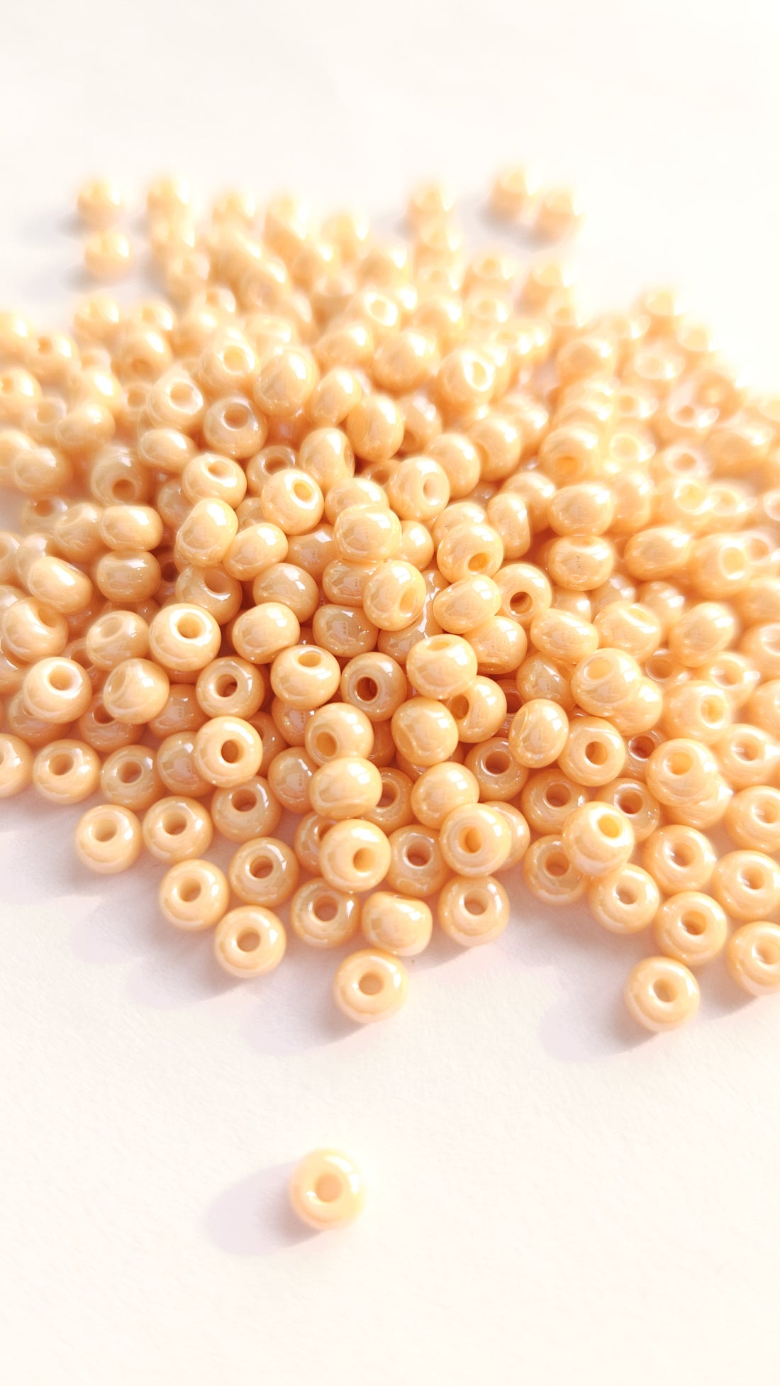 Czech Rocailles 6/0 Chalk White Champagne Luster 14413