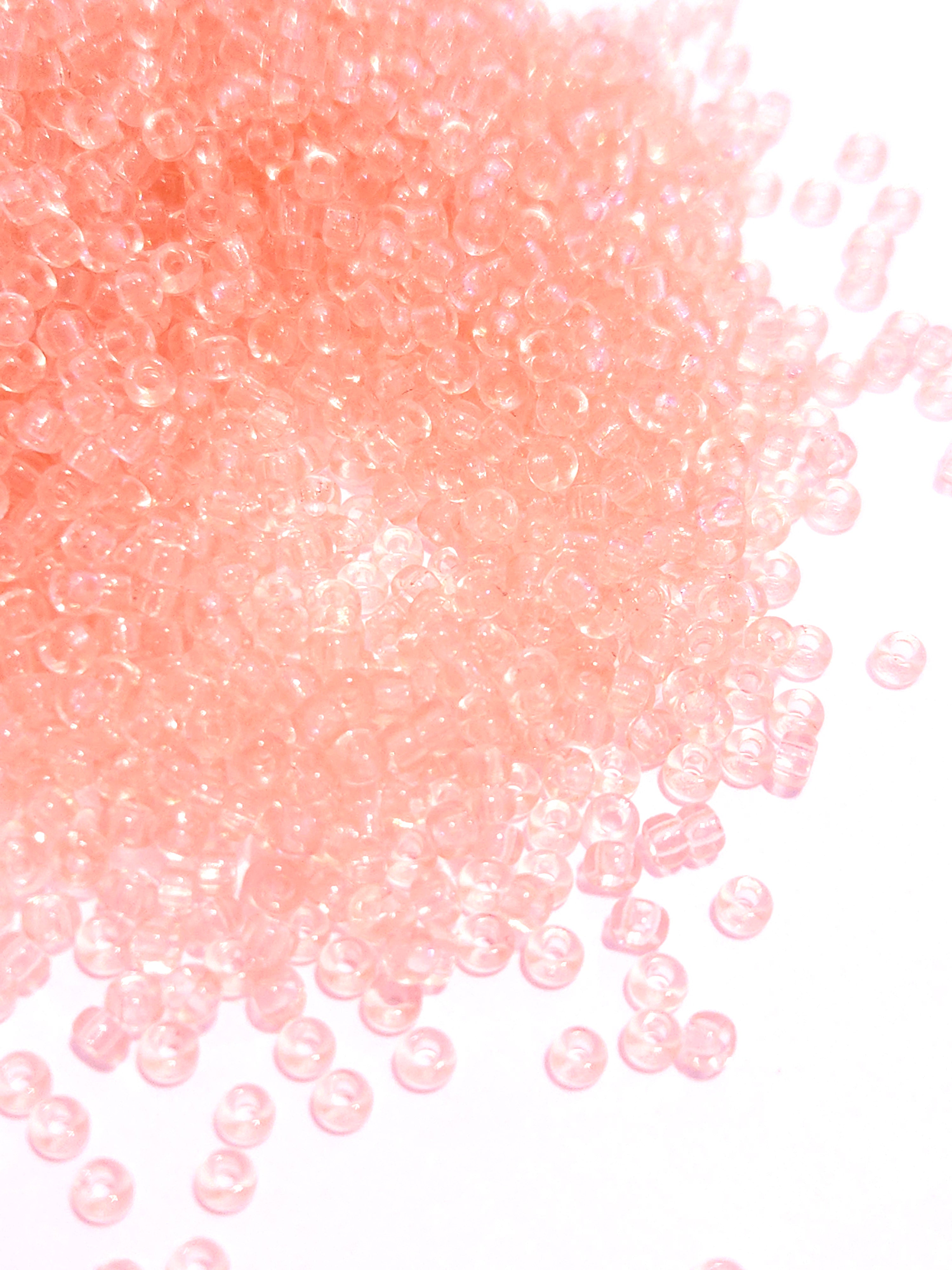 20260208_124844.jpg