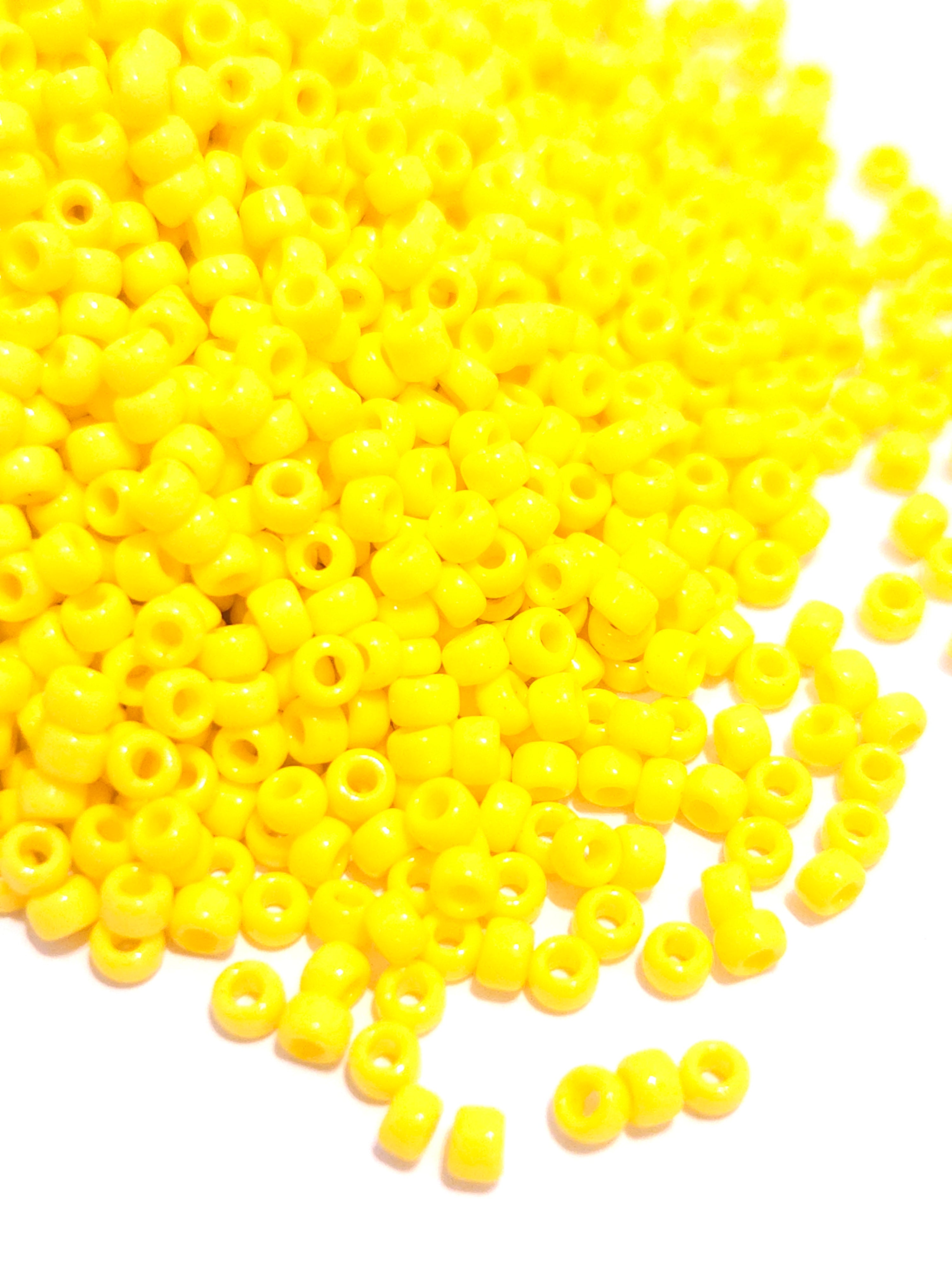 20260208_125028.jpg