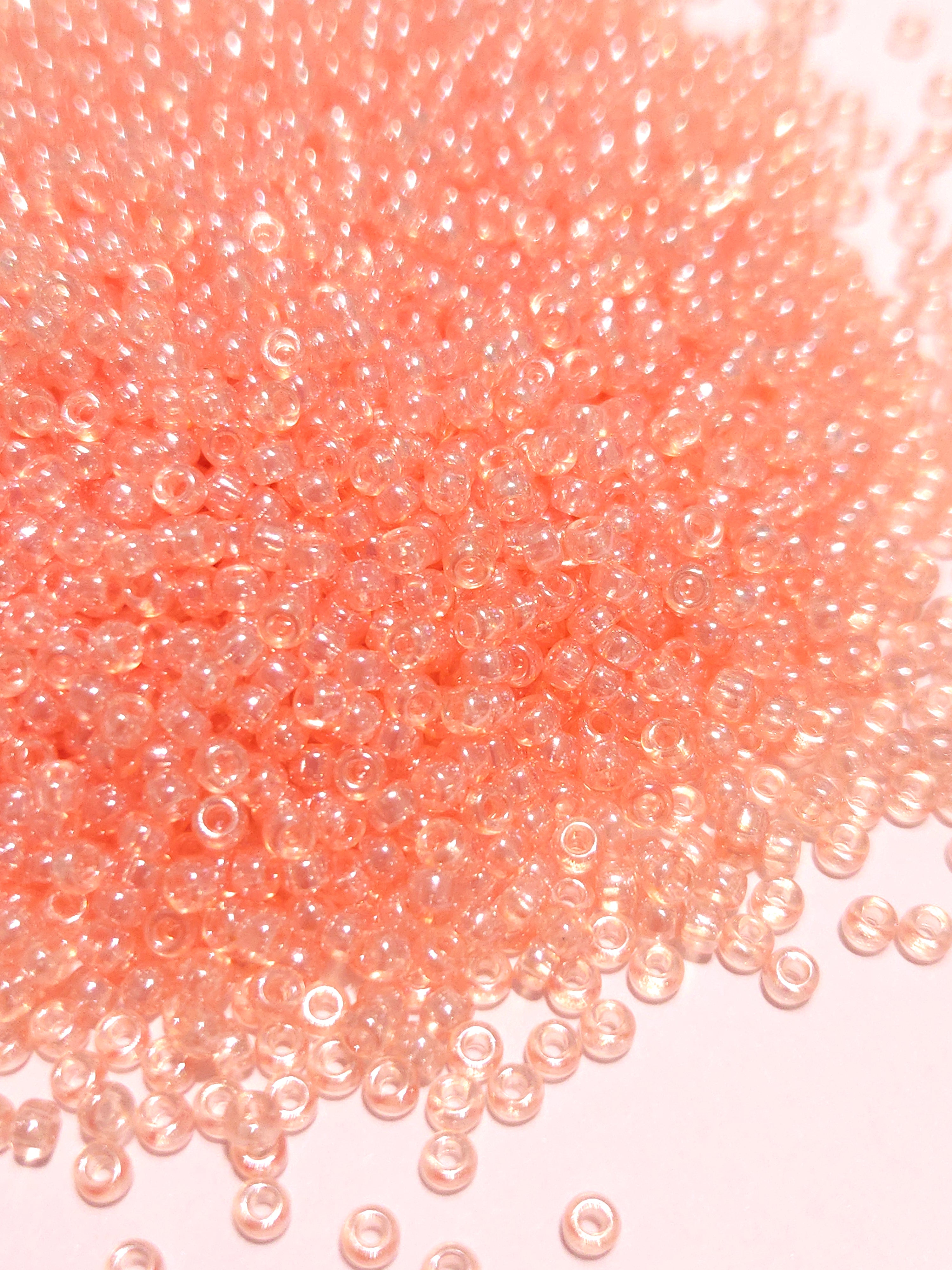 20260212_102652.jpg