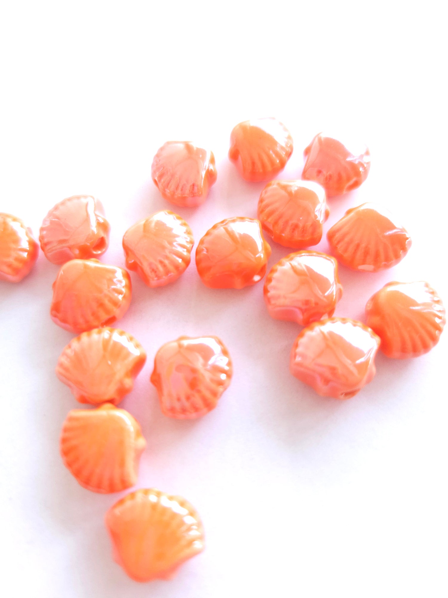 Keramisch schelpje Coral