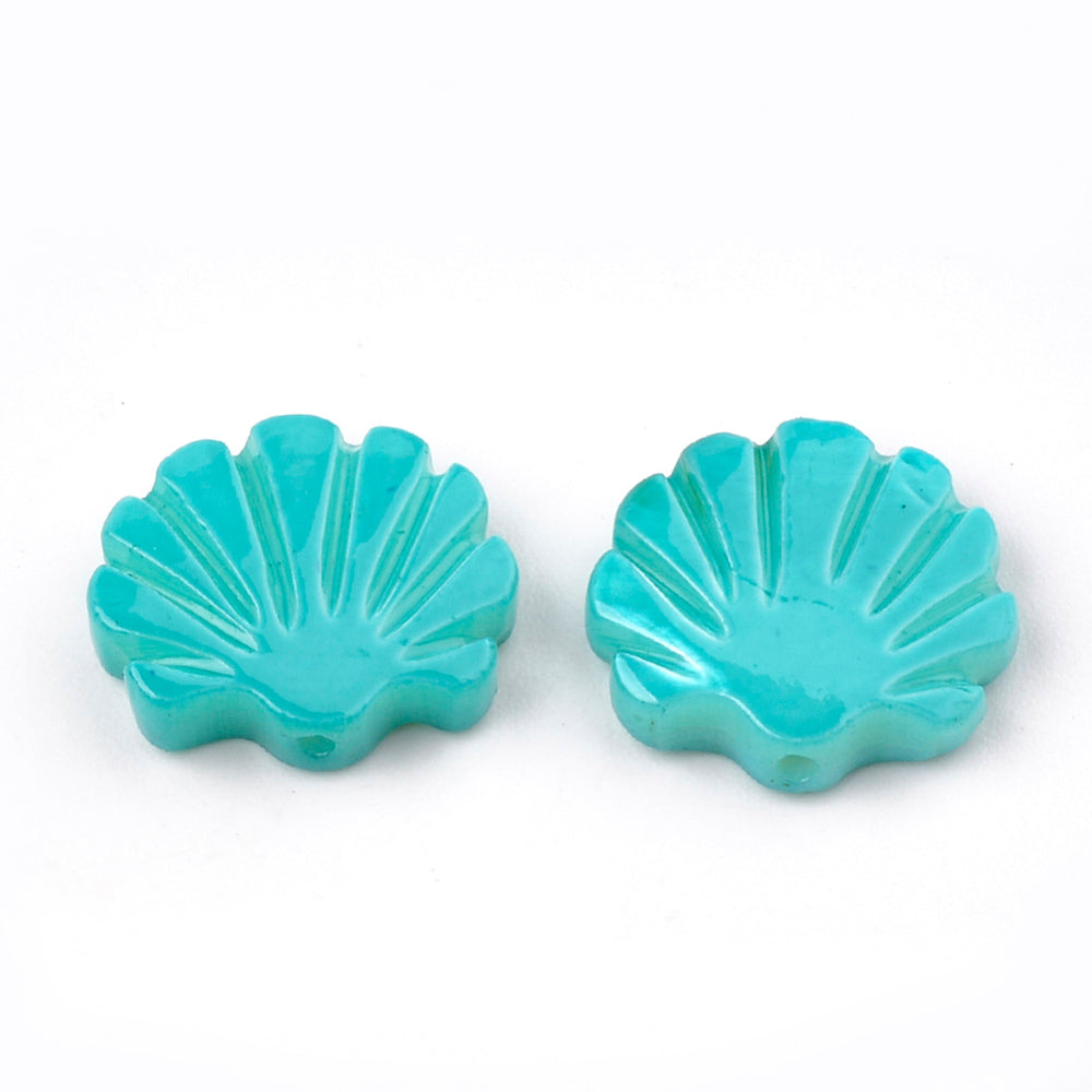 Schelp zoetwater schelp kraal Turquoise
