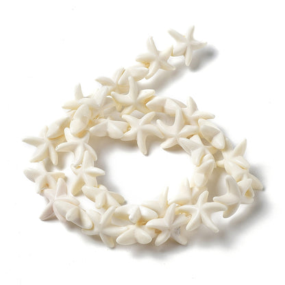 Zeesterkraal Naturel 10st