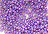 TR-11-461 : TOHO - Round 11/0 : Higher-Metallic Grape