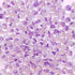 Miyuki Drops 3.4 mm Sparkling Purple L Crystal F40